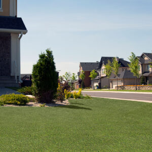 viridian-turf-910z-room-scene-a